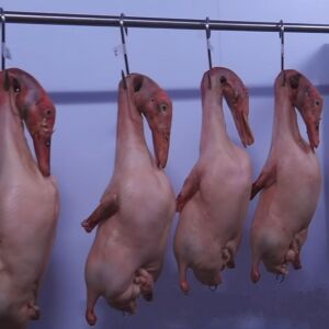 বেইজিং জাতের হাঁস প্রসেস / রেডি টু কুক