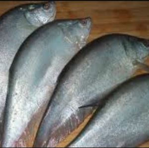 দেশি ফলি