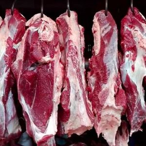 গরুর মাংস