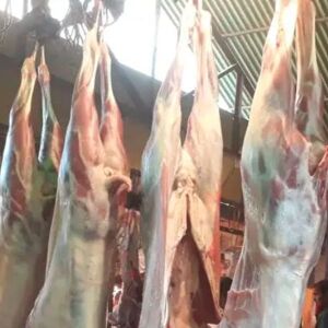 খাসির মাংস