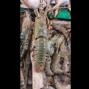 লবস্টার মাথা সহ