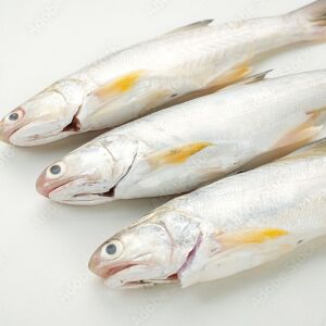 সাদা পোয়া