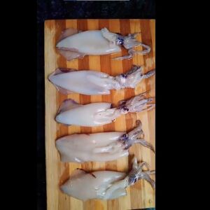 স্কুইড/ কালামারি (আস্ত)