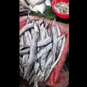 ছুরি মাছ