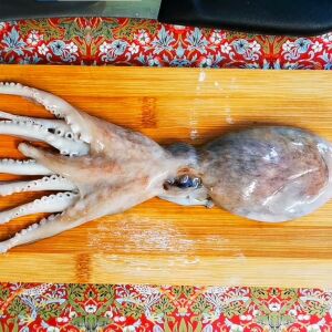 অক্টোপাস