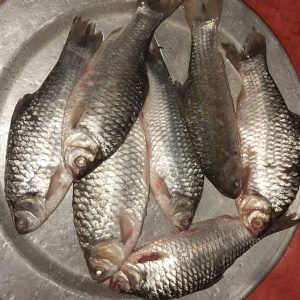 সরপুঁটি